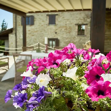 Umbra * Читта-ди-Кастелло