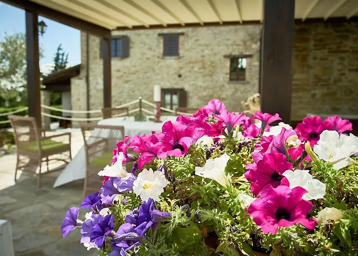 Umbra * チッタ・ディ・カステッロ